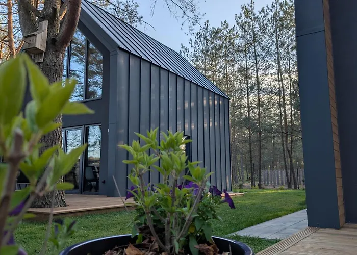 Sosnowy Raj Сasa de vacaciones Borsk